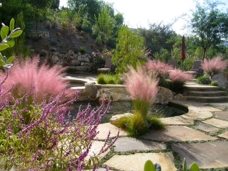How to use pavers to make your garden Lush, naturalistic, waterwise?